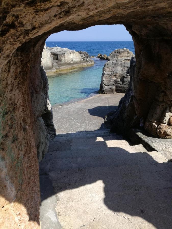 Lucapannune